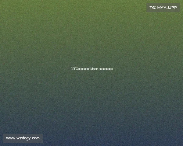 BREC国际电子竞技大赛Moon,国际电子竞技联合会