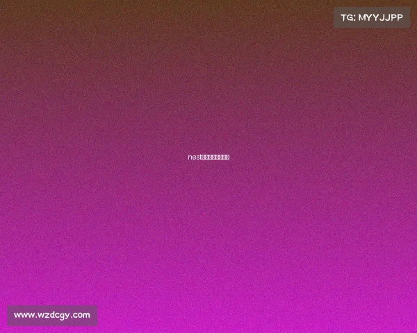 nest全国电竞大赛赛程